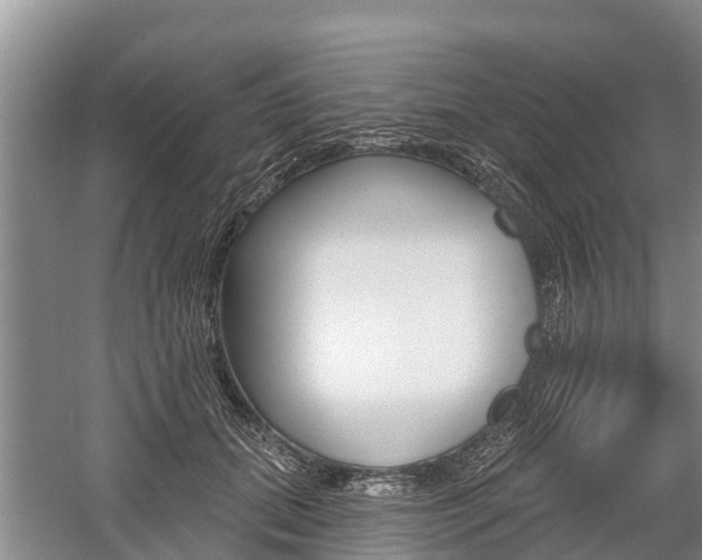 X0000059820655200510210957