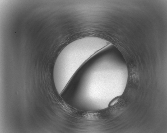X0000059820664200510210957