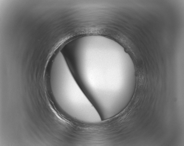 X0000059820674200510210956