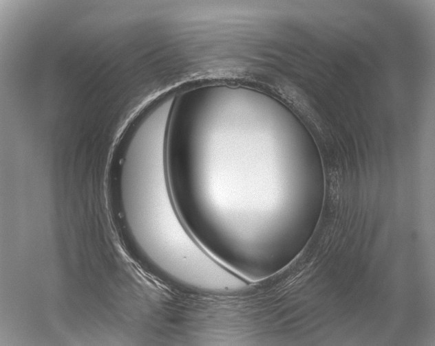 X0000059820676200510210956