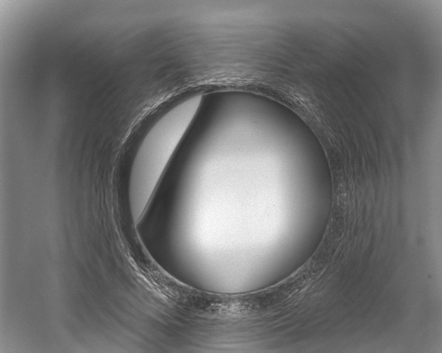 X0000059820688200510210956