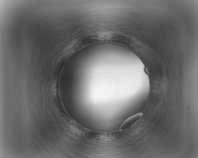 X0000059820697200510210956