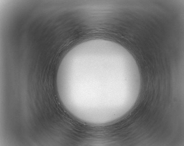X0000059820705200510210956