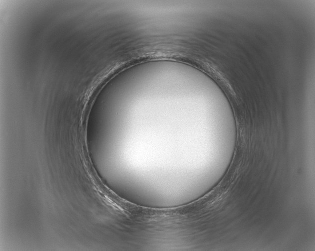 X0000059820721200510210954