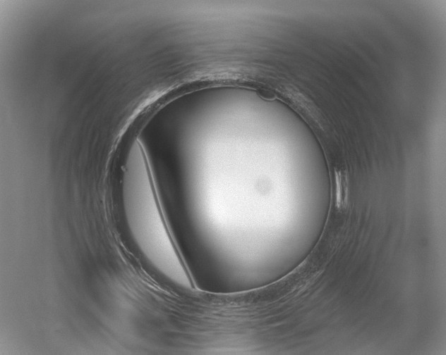 X0000059820723200510210954