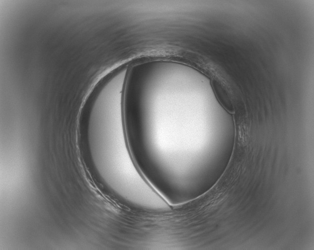 X0000059820724200510210954