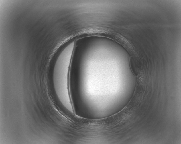 X0000059820732200510210955