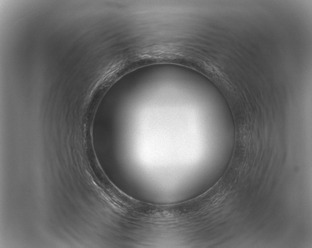 X0000059820735200510210955