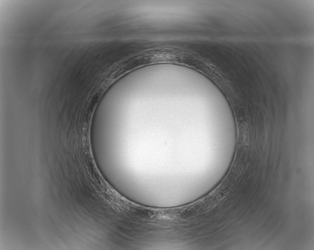 X0000059820737200510210955
