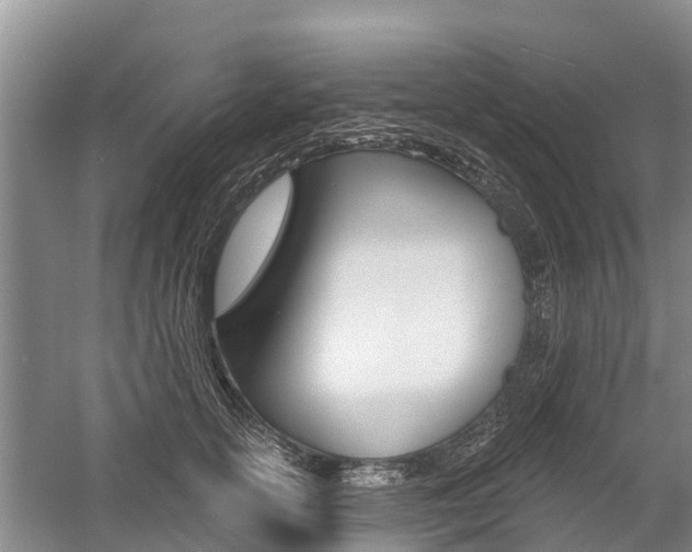X0000059820754200510210955