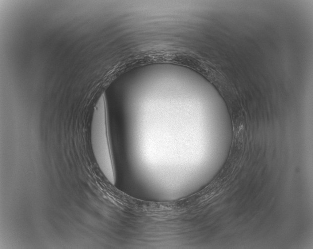 X0000059820772200510210954