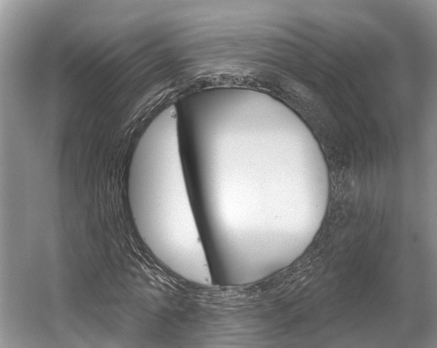 X0000059820774200510210954