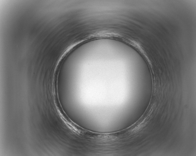 X0000059820795200510210954