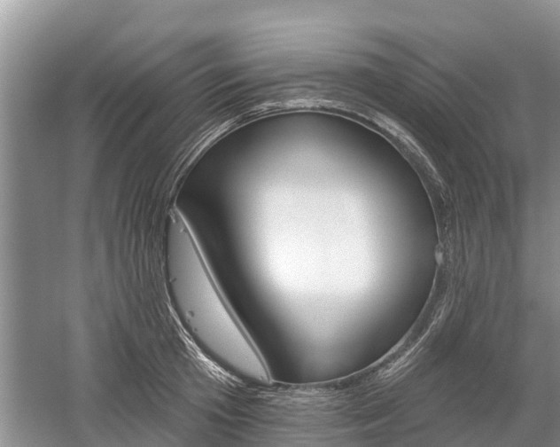 X0000059820801200510210954