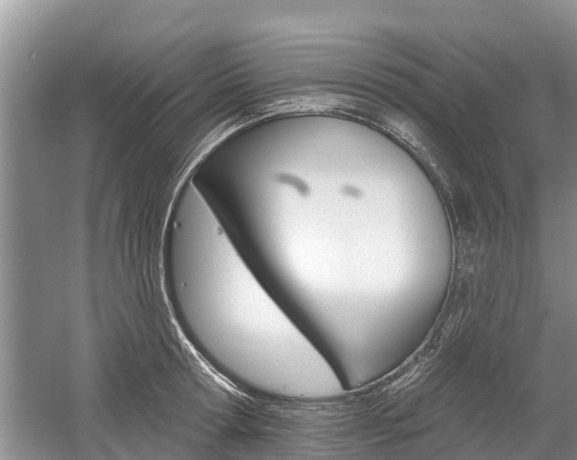 X0000059820802200510210954