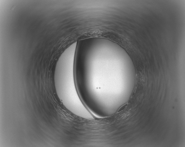 X0000059820818200510210953
