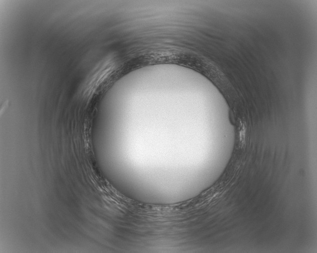 X0000059820819200510210953