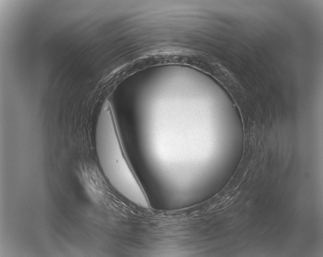 X0000059820821200510210953