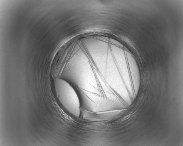 X0000059820831200510210953