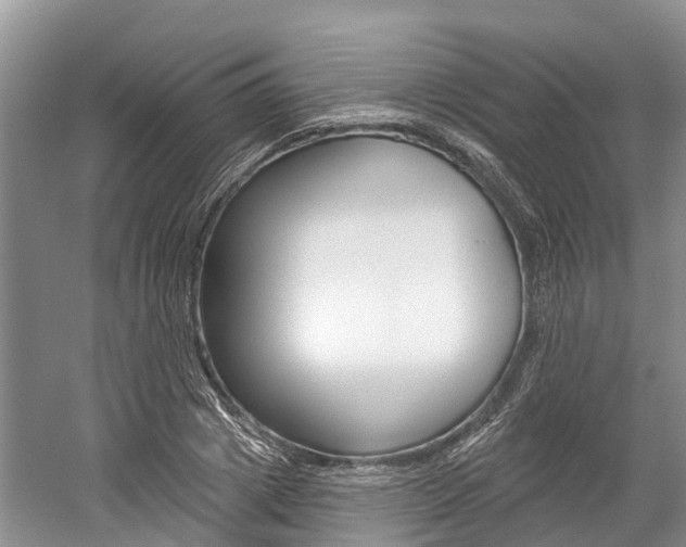 X0000059820833200510210953