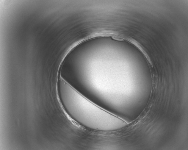 X0000059820861200510210954