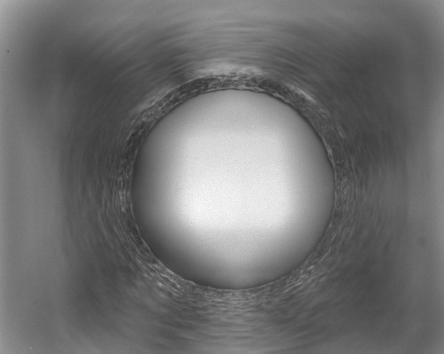 X0000059820869200510210953