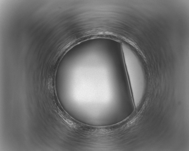 X0000059820881200510210953