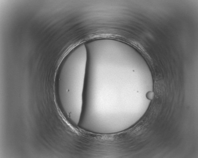 X0000059820890200510210952