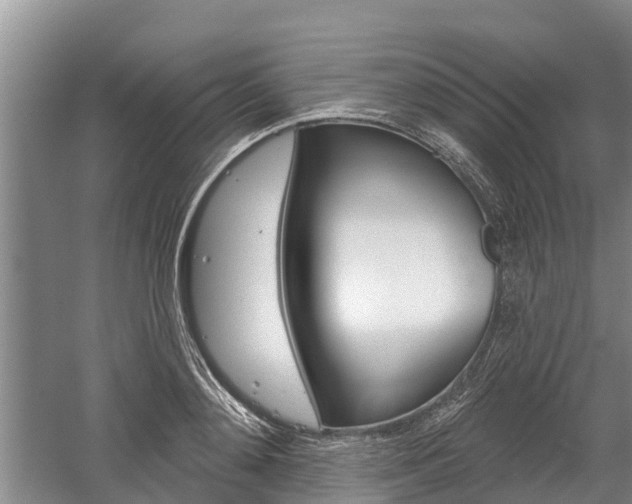 X0000059820892200510210952