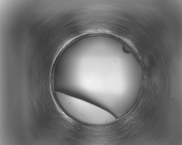 X0000059820895200510210952