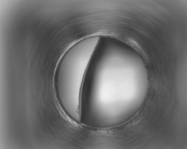 X0000059820900200510210952