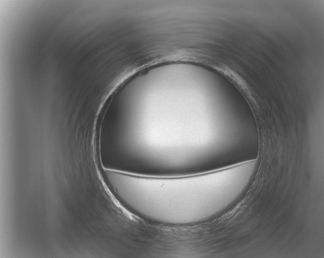 X0000059820902200510210952