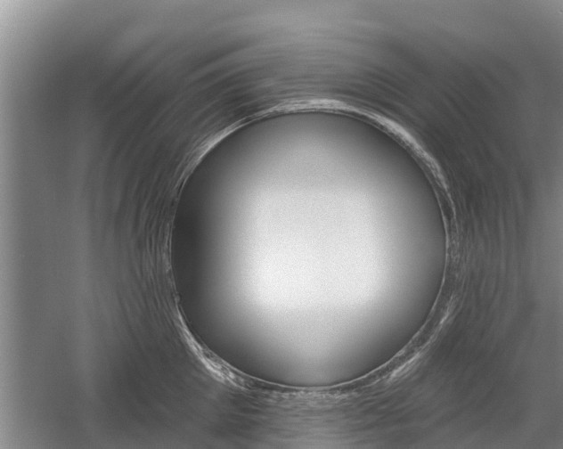 X0000059820905200510210952