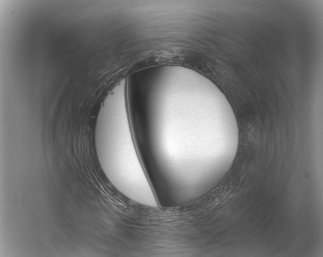 X0000059820914200510210951