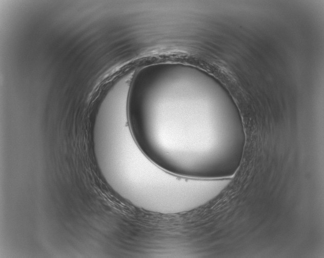 X0000059820920200510210951