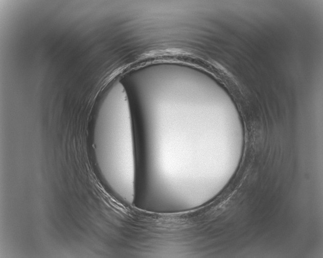 X0000059820921200510210951