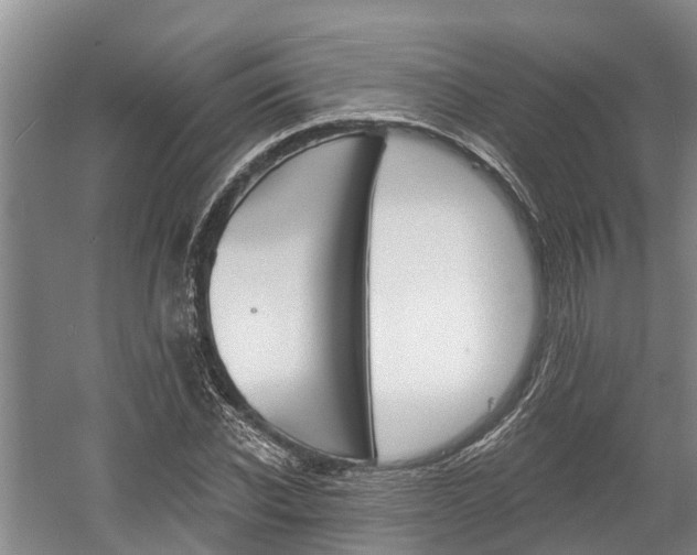 X0000059820926200510210951