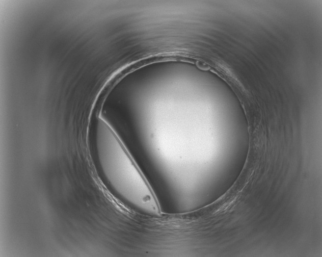 X0000059820932200510210952
