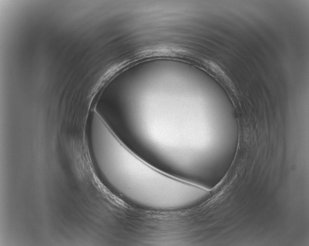 X0000059820938200510210952