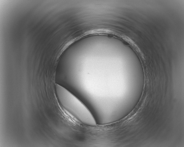 X0000059820945200510210952