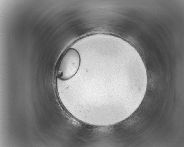 X0000059820950200510210952