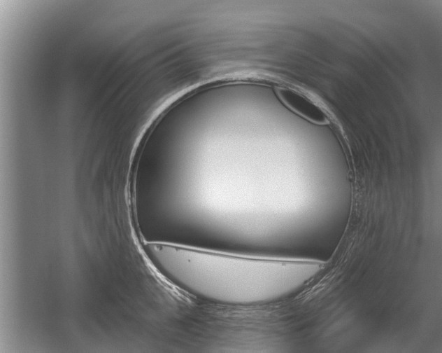 X0000059820951200510210952