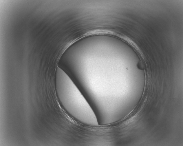 X0000059820953200510210952