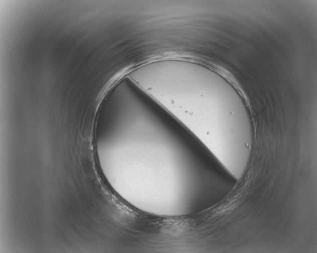 X0000059820954200510210952