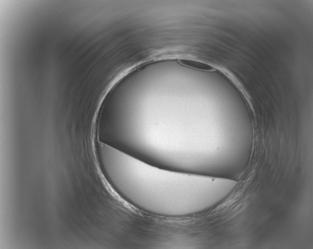 X0000059820957200510210952