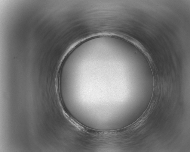 X0000059820958200510210952