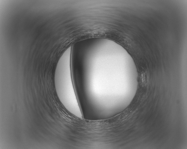 X0000059820963200510210951