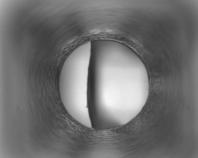 X0000059820966200510210951