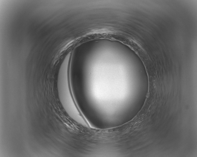 X0000059820968200510210951