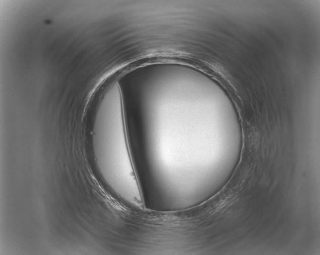 X0000059820971200510210951